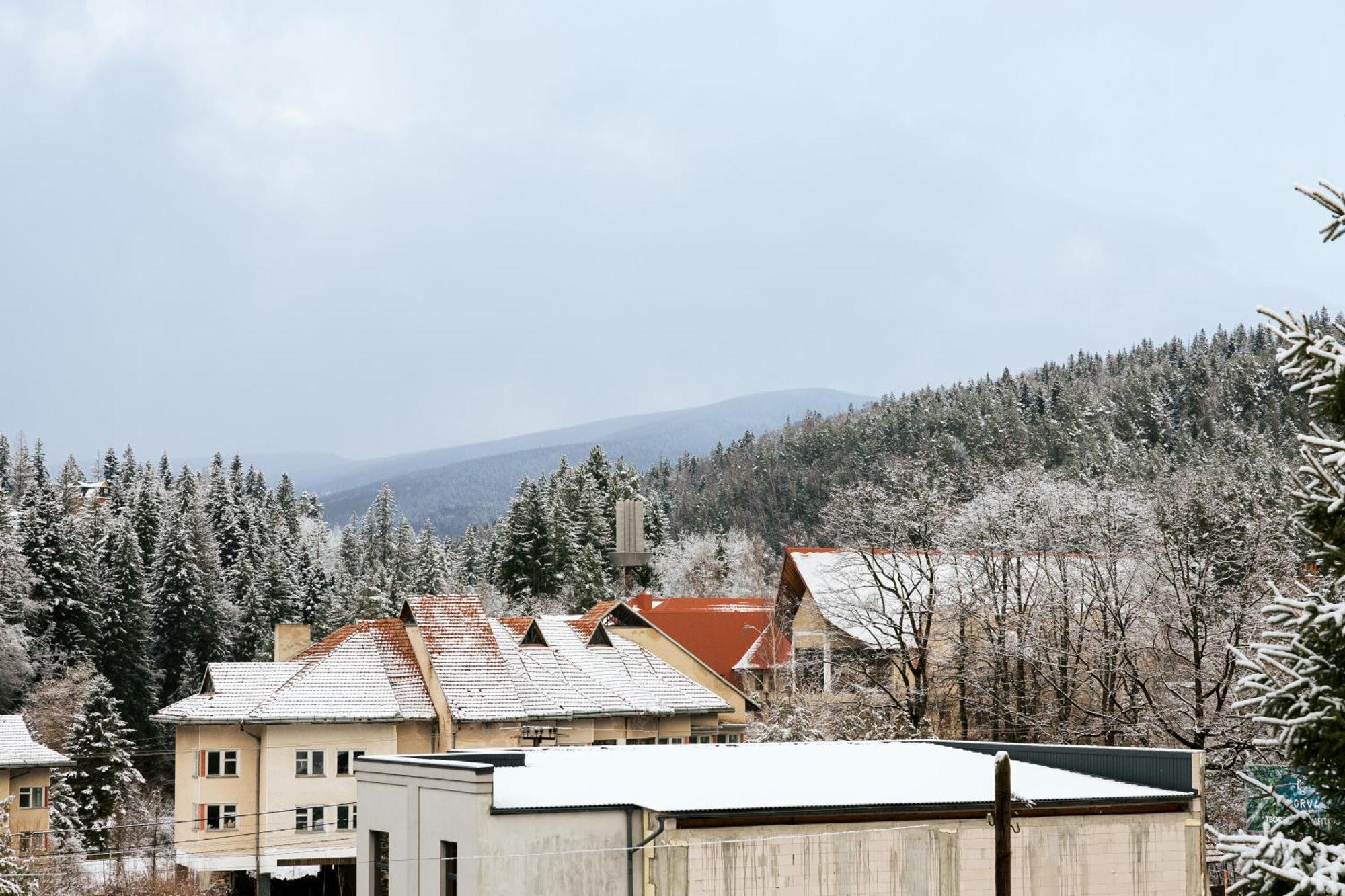 Цекіт Villa Yaremche Eksteriør billede